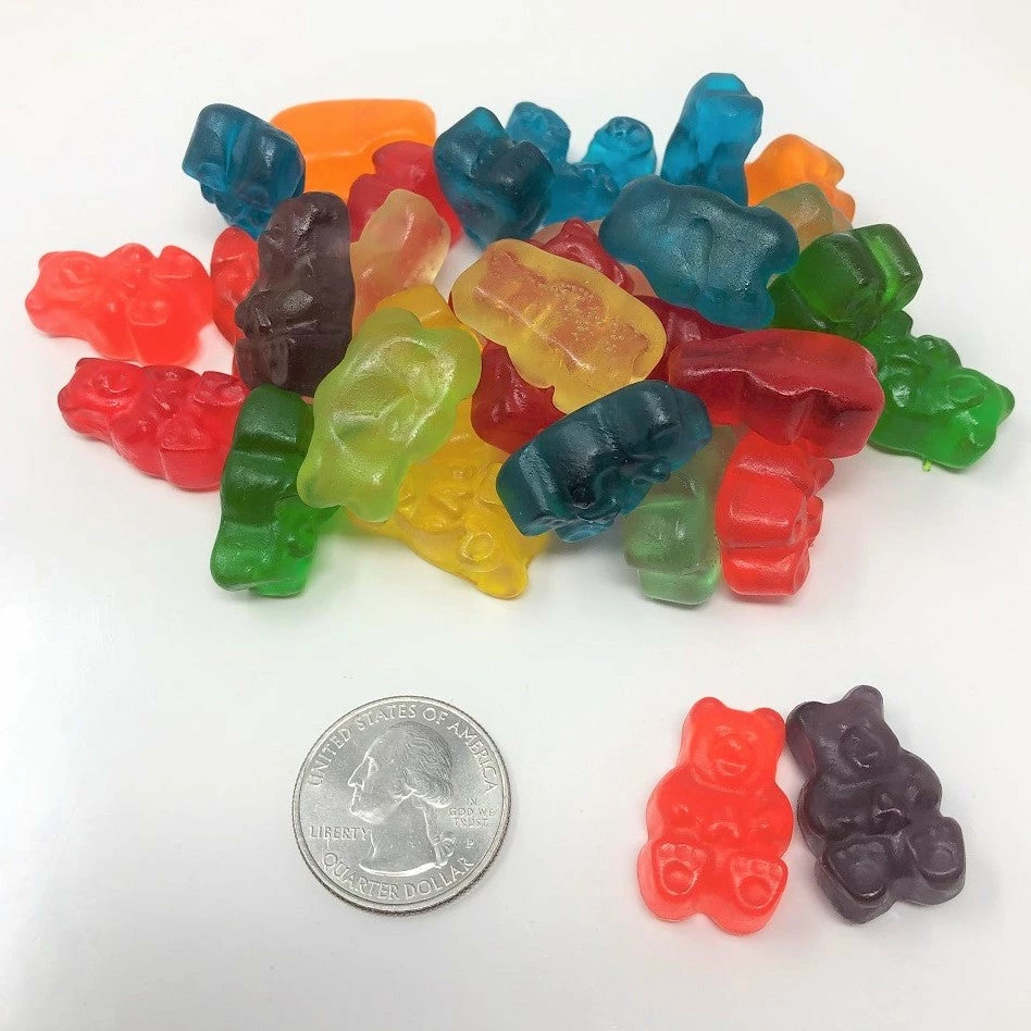 Albanese Gummi Bears 12 Flavors Assorted Fruit 5 Pounds Bulk Gummi Candy 5 Pound 4 Albanese Gummi Bears 12 Flavors Assorted Fruit 5 Pounds Bulk Gummi Candy 5 Pound