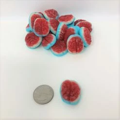 Vidal Golosinas, Located In Spain. Gummi Brains 4.4 Pounds Brain Candy Halloween Gummy Skull Candy