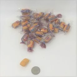 Atkinson Chick-O-Sticks Nuggets Chick O Stick Peanut Butter Coconut Candy 5 Pounds Wrapped Candy