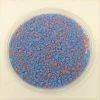 QA Products, Inc. - Beloit, Wisconsin Cotton Candy Krunch Sugar Crunch Bakery Topping Sprinkles 8 Ounces Sprinkles & Toppings