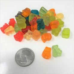 Albanese Gummi Bear Cubs Baby Gummi Bears Mini Gummy Bears 1 Pound
