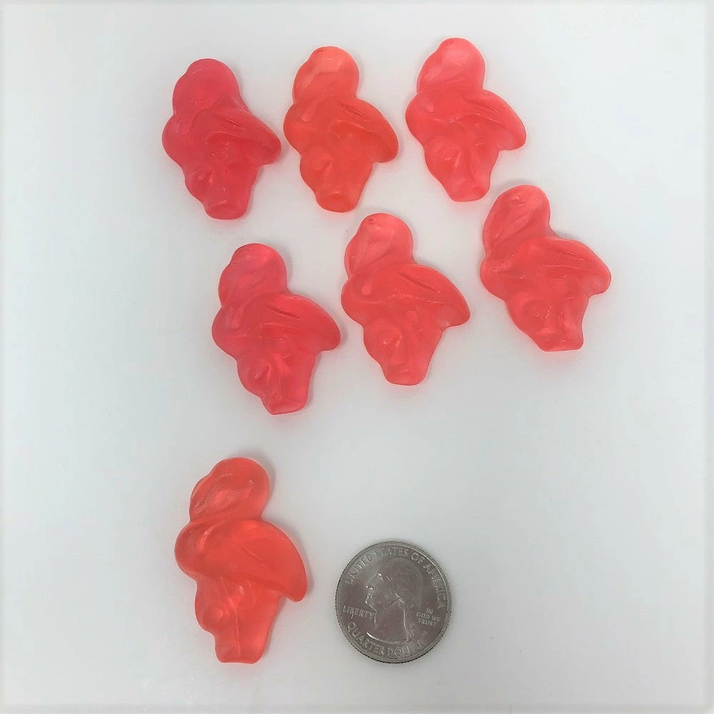Vidal Gummi Candy Gummi Pink Flamingos 4.4 Pounds Bulk Pink Gummy Flamingo 3 Vidal Gummi Candy Gummi Pink Flamingos 4.4 Pounds Bulk Pink Gummy Flamingo