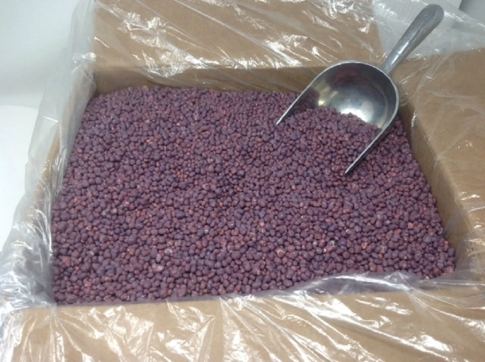 Beulah's Candyland Unwrapped Bulk Candy Wonka Nerds Bulk Grape Nerds Candy 5 Pounds 3 Beulah's Candyland Unwrapped Bulk Candy Wonka Nerds Bulk Grape Nerds Candy 5 Pounds