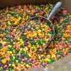 Beulah's Candyland Unwrapped Bulk Candy Wonka Nerds Bulk Rainbow Nerds Candy 2 Pounds