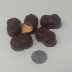 Beulah's Candyland Gourmet Sugar Free Orange Sherbet Cream Milk Chocolate Candy 1 Pound Sugar Free Candy