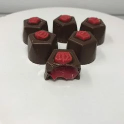 Beulah's Candyland Gourmet Raspberry Truffles Milk Chocolate Candy 1 Pound